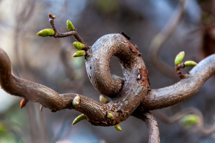 Ilustracija (Pixabay)