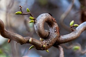 Ilustracija (Pixabay)