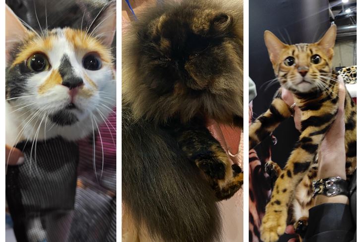 (Snimila Sandra Zrinić Terlević)