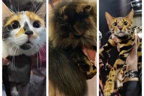 (Snimila Sandra Zrinić Terlević)