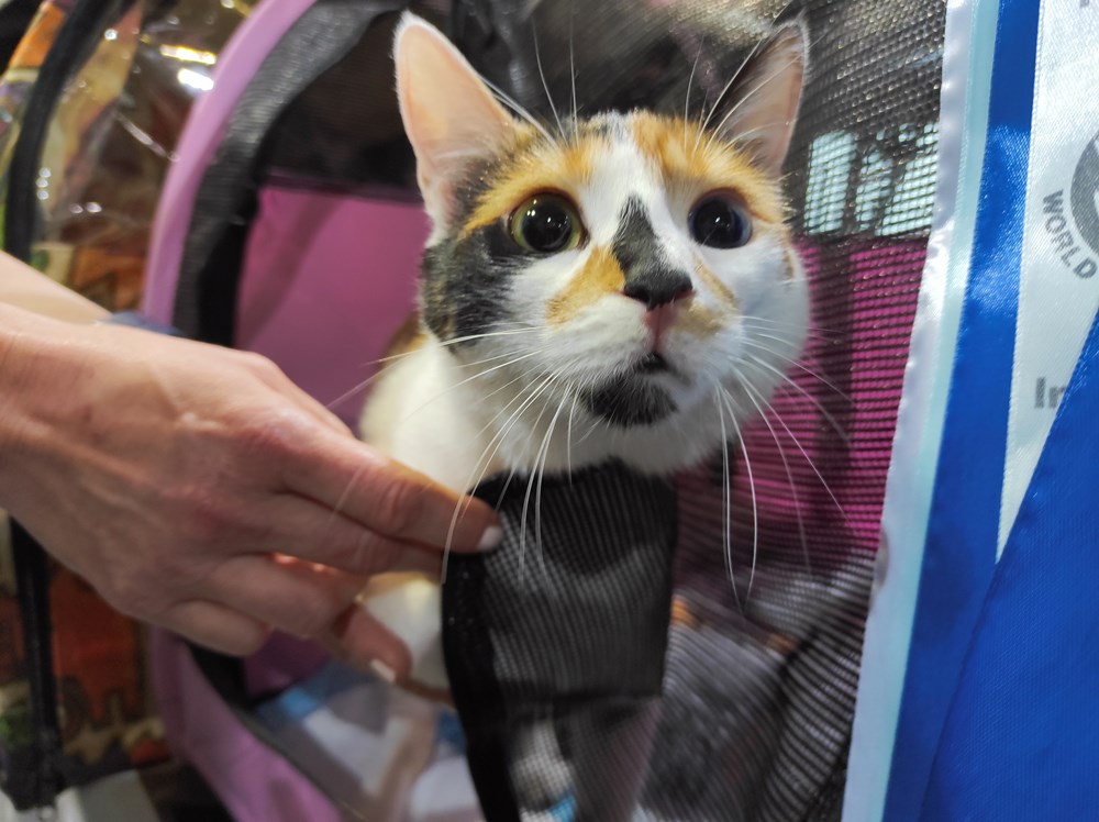 (Snimila Sandra Zrinić Terlević)