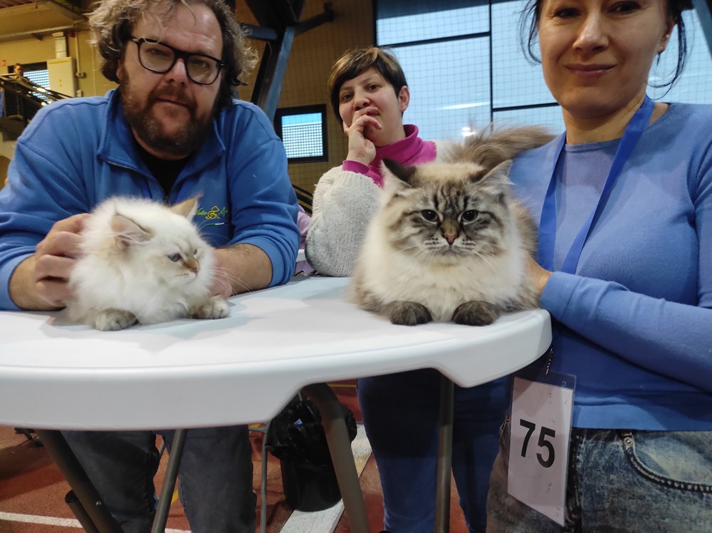 (Snimila Sandra Zrinić Terlević)