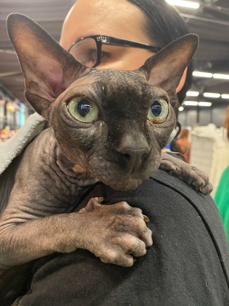 (Snimila Sandra Zrinić Terlević)