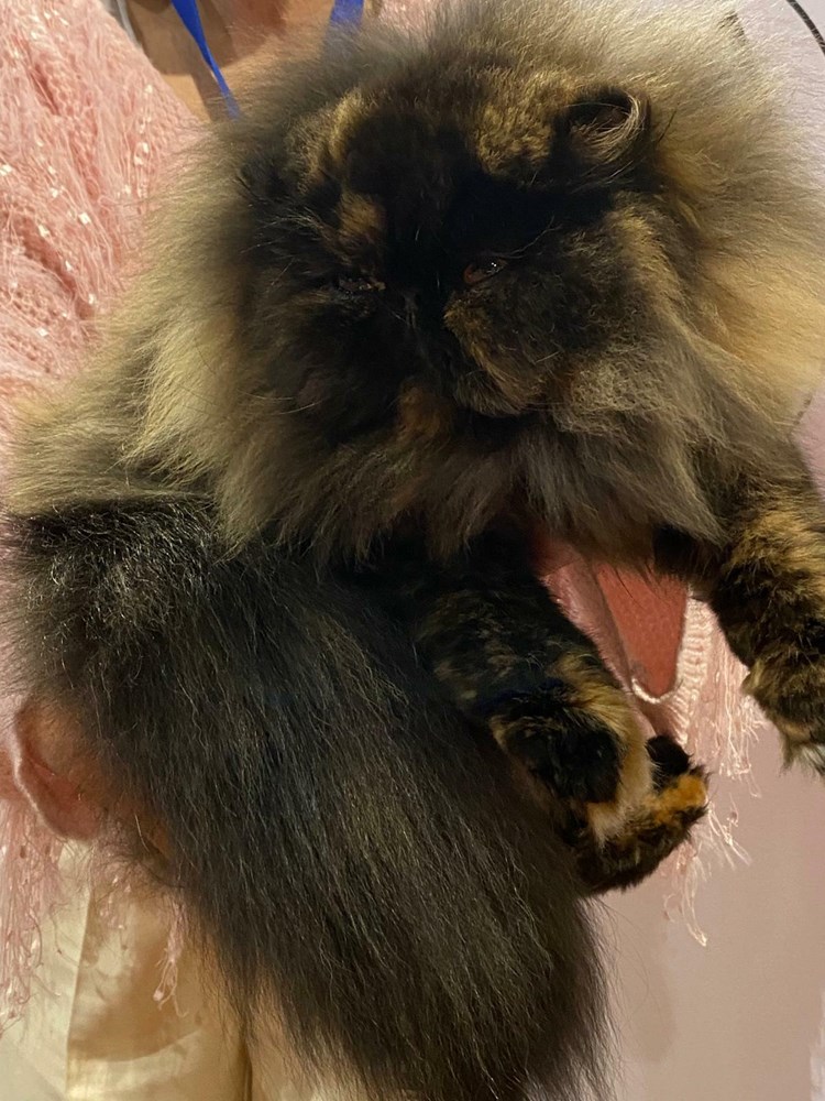 (Snimila Sandra Zrinić Terlević)