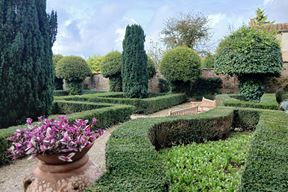 (Snimila Renata Šamo)