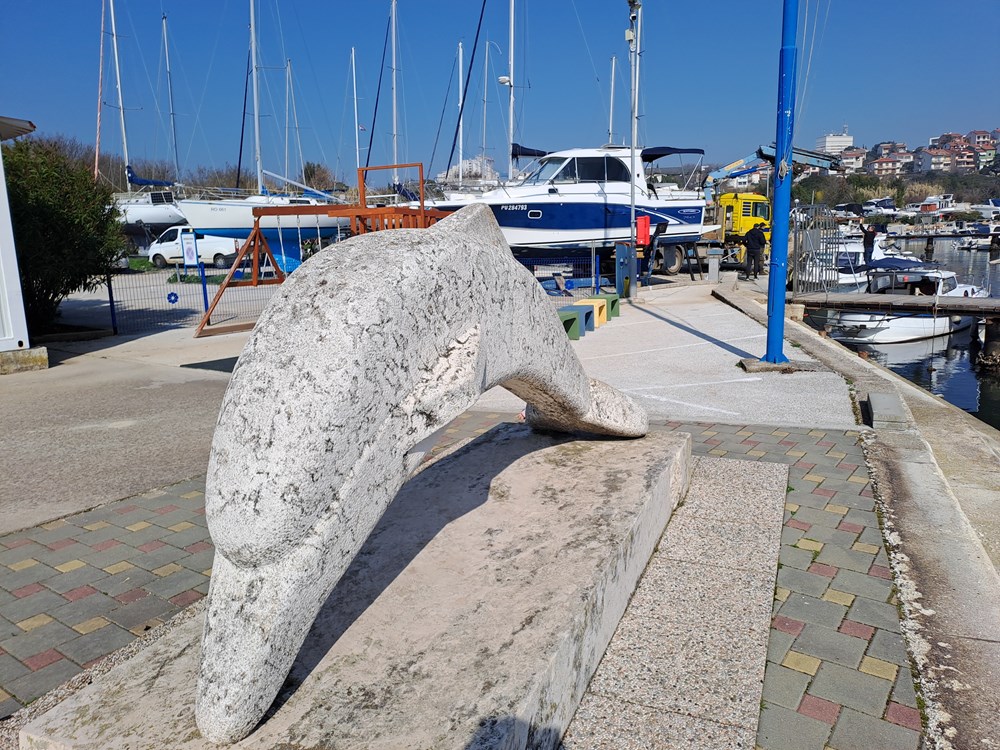 (Snimio Zoran Oljača)