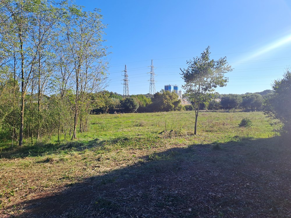 (Snimio Zoran Oljača)