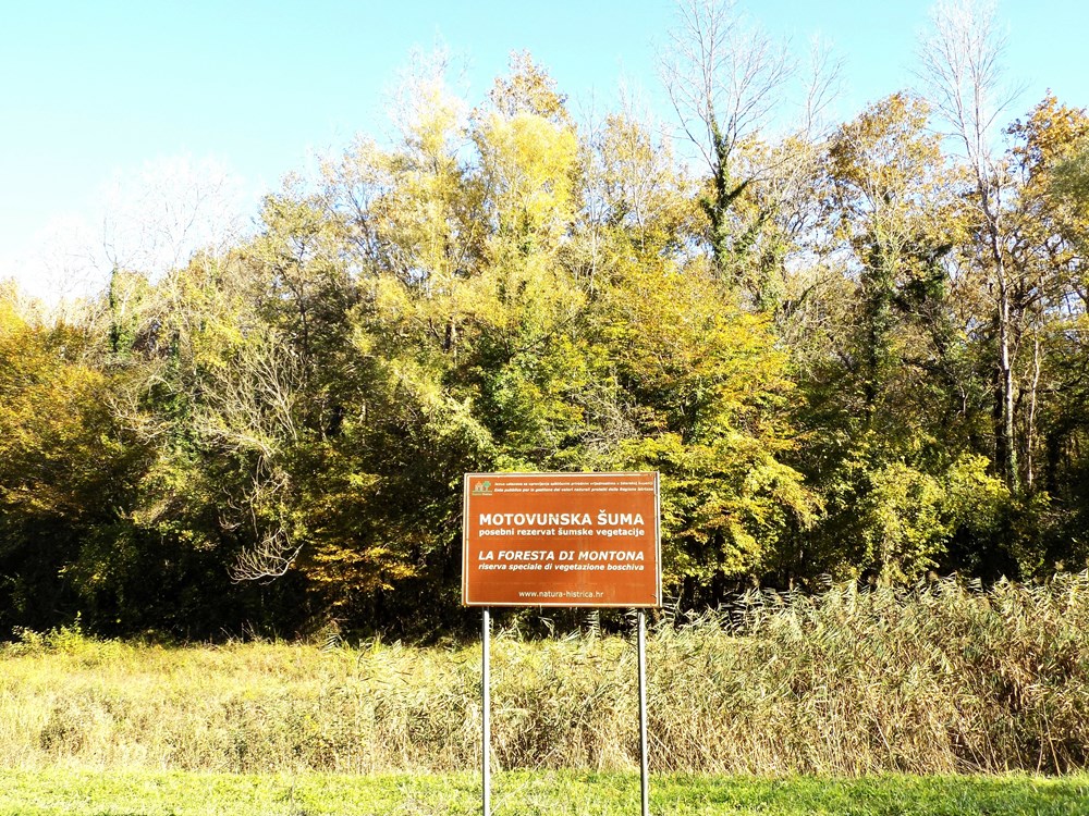 (Snimila Gordana Čalić &Scaron;verko)