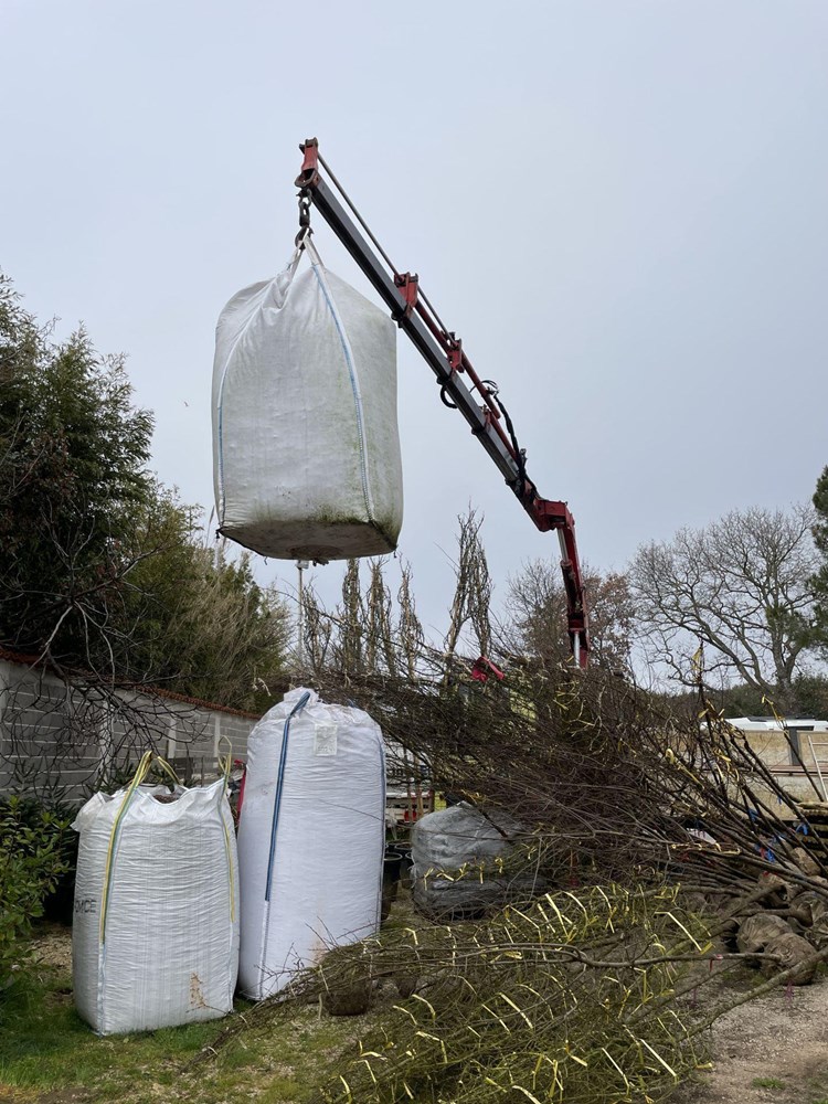 (Foto: Općina Medulin)