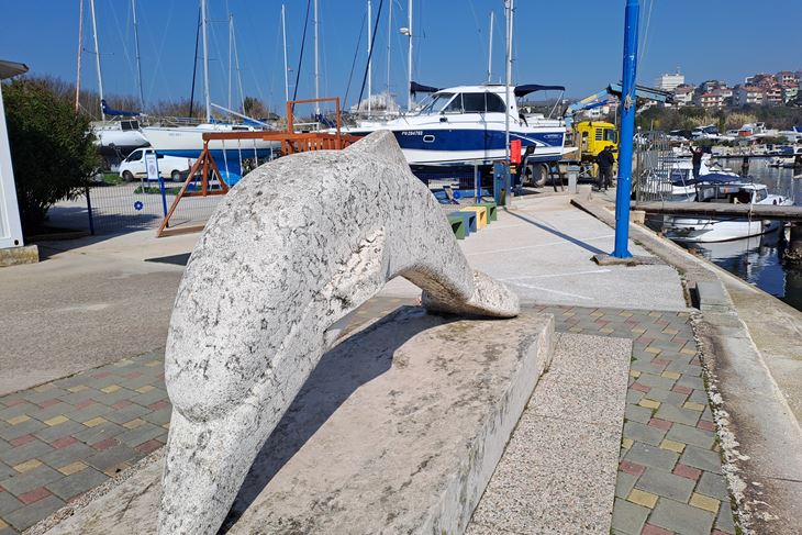 (Snimio Zoran Oljača)