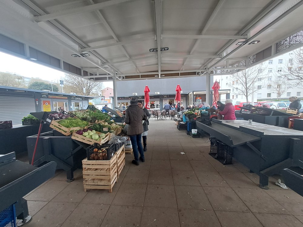 (Snimila Jelena Milović)