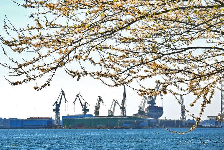 (Arhiva Glasa Istre)