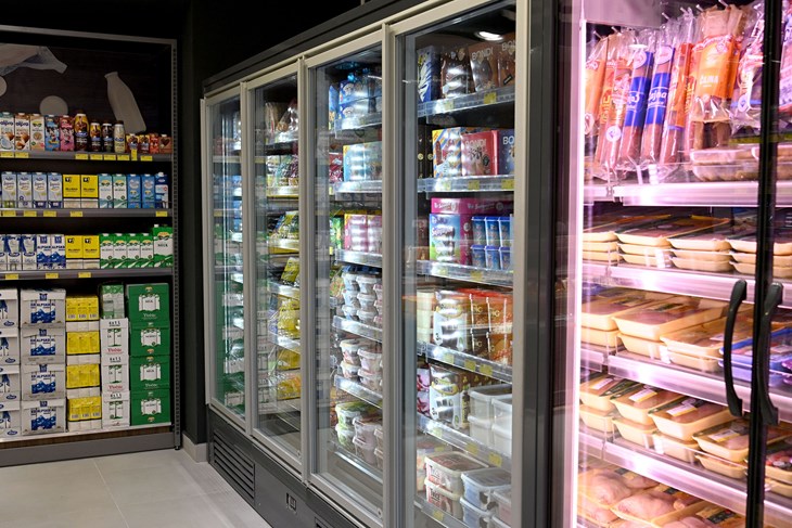 Ilustracija (Snimio Vedran Karuza)