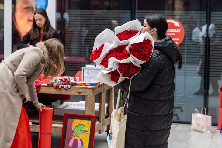 (Snimio Mate Komina)