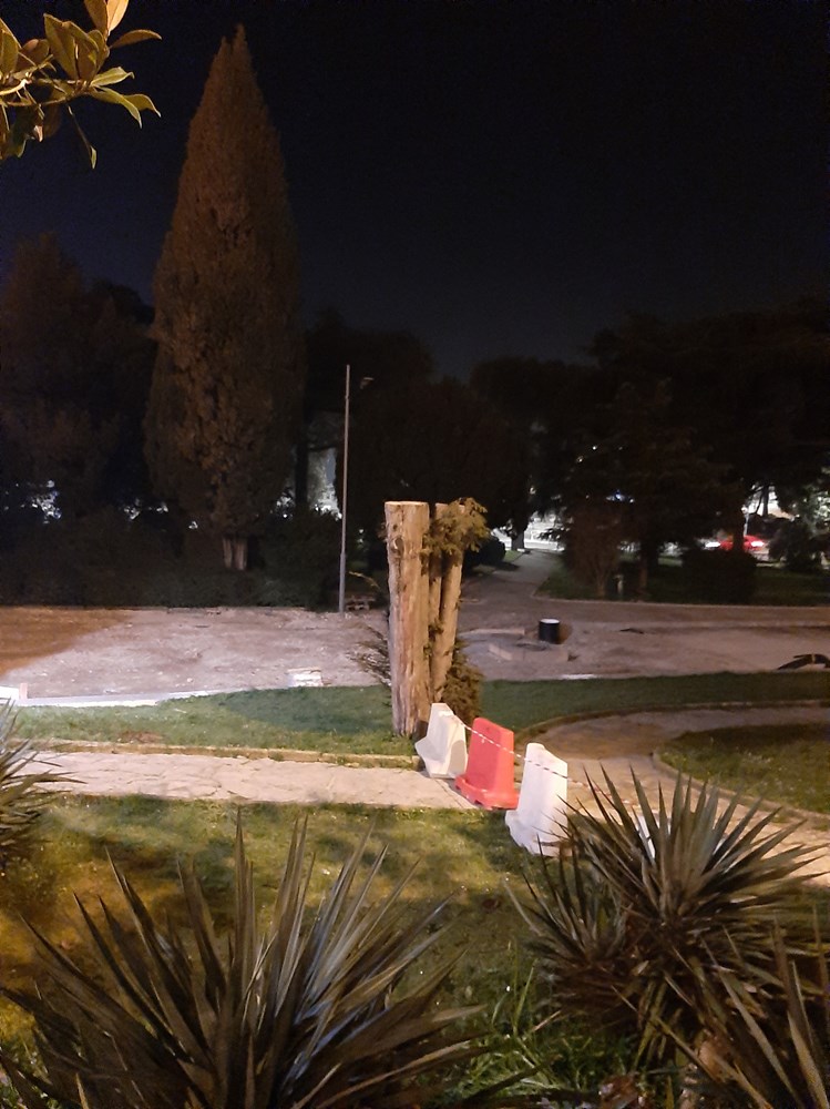 (Foto: čitateljica)