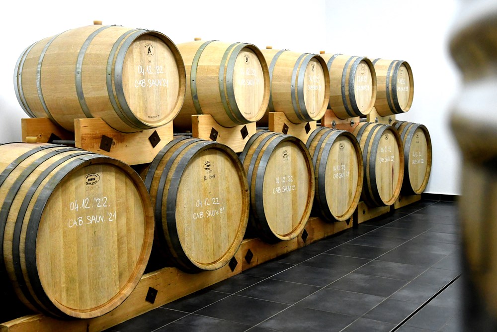 (Snimio Milivoj Mijo&scaron;ek)