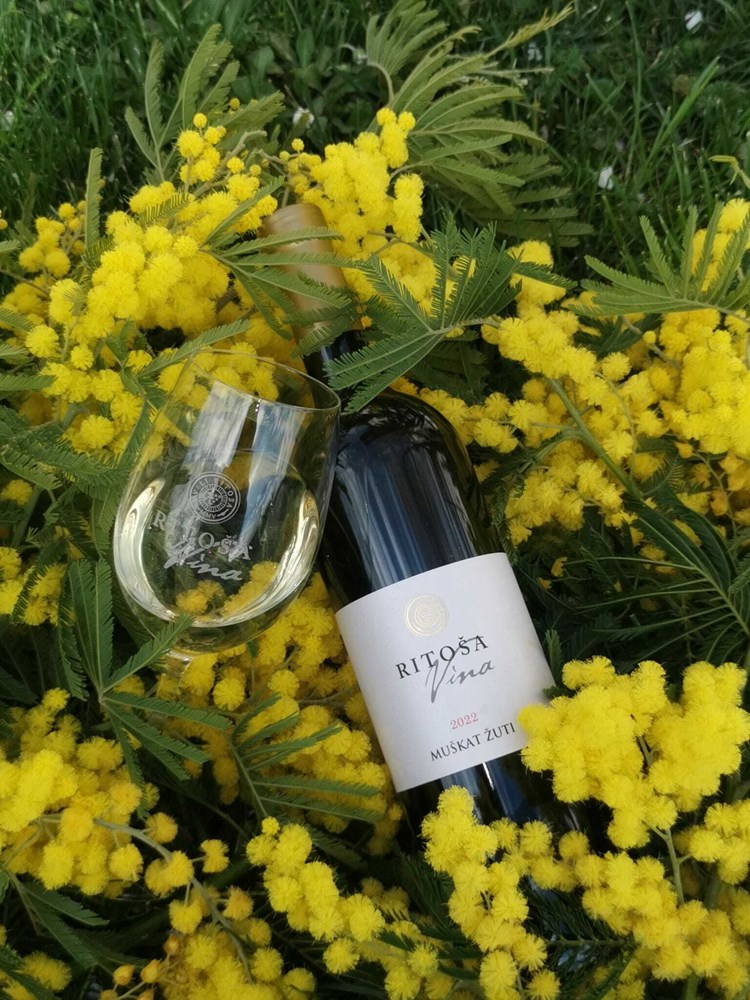 (Snimio Milivoj Mijo&scaron;ek)