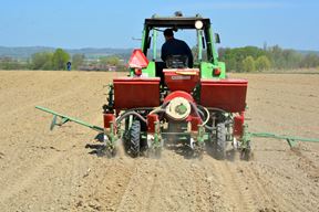 (Snimio Damir Špehar / Pixsell)