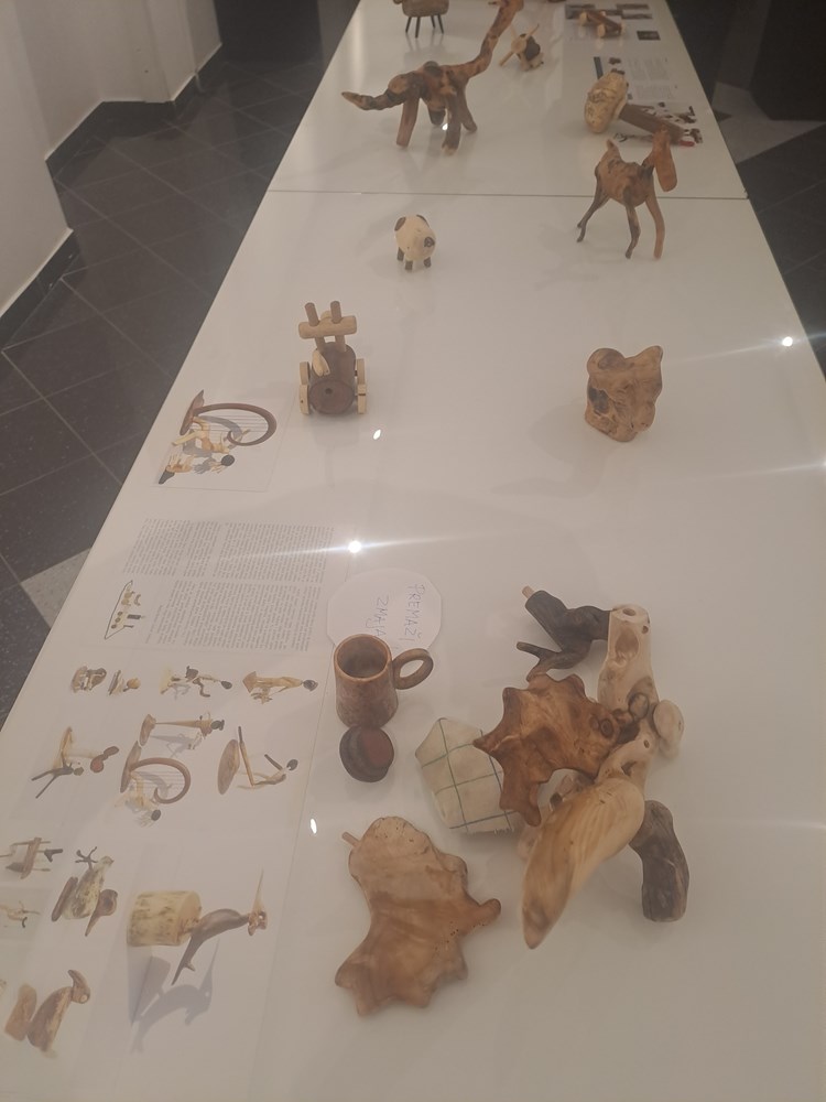 (Snimio Mladen Radić)