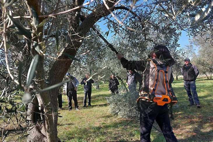 Ilustracija (Foto Udruga ISTARSKO-Ekomuzej)