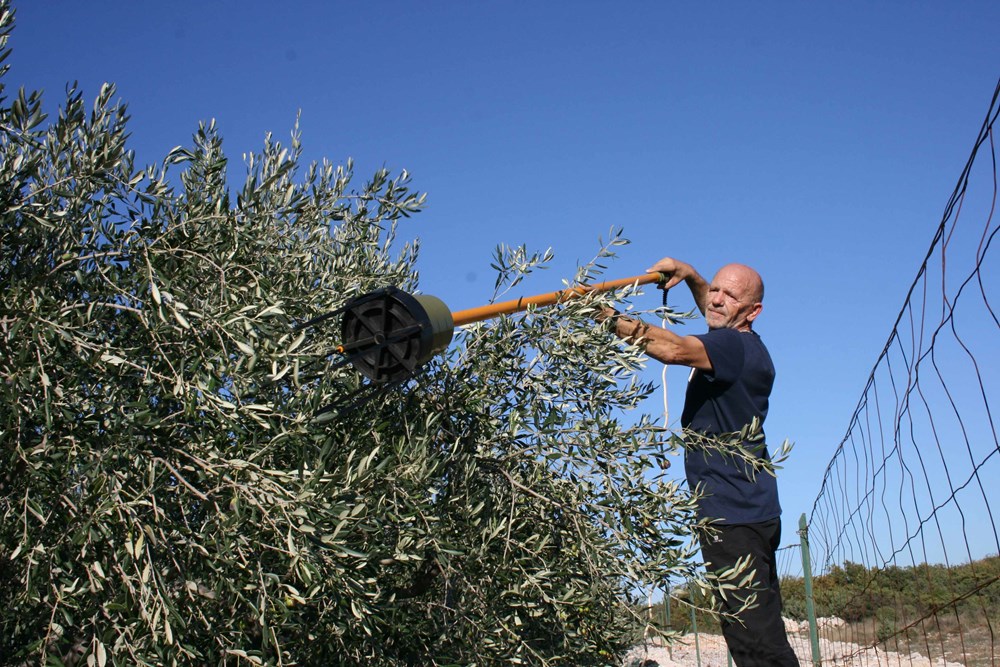 (Snimio Marijan Tomac)