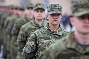 Ilustracija (Snimio Davor Javorović / Pixsell)