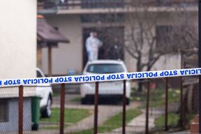 (Snimio Hrvoje Kostelac / Pixsell)