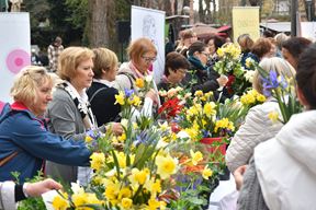 (Arhiva Glasa Istre)