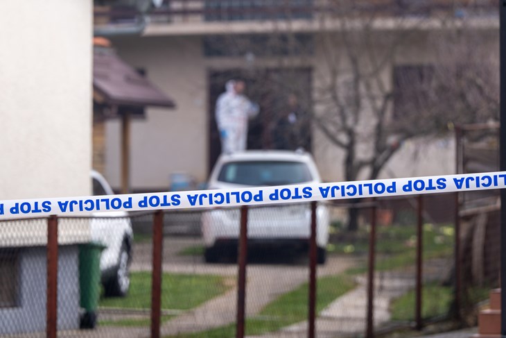 (Snimio Hrvoje Kostelac / Pixsell)