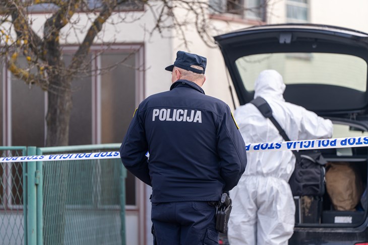 (Snimio Hrvoje Kostelac / Pixsell)