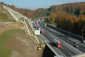 Ilustracija (Ljuba brank / Wikimedia Commons)