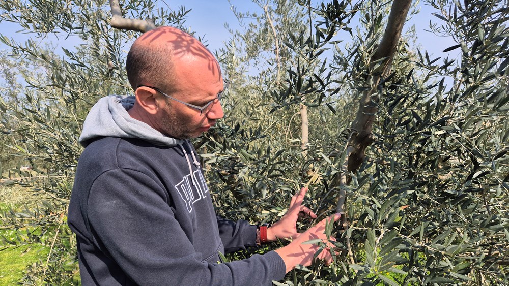 (Foto Institut za poljoprivredu i turizam)