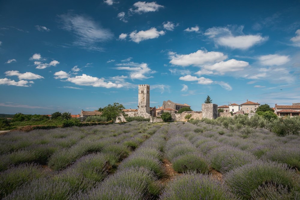 8Snimio julien Duval)