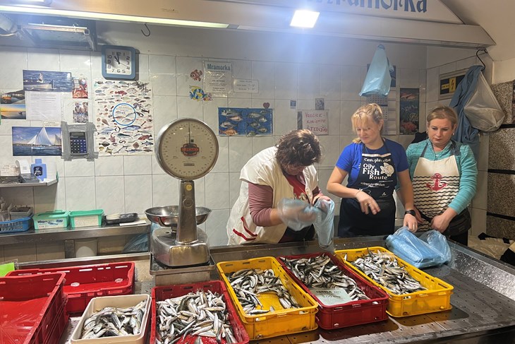 (Snimila Doria Mohorović)