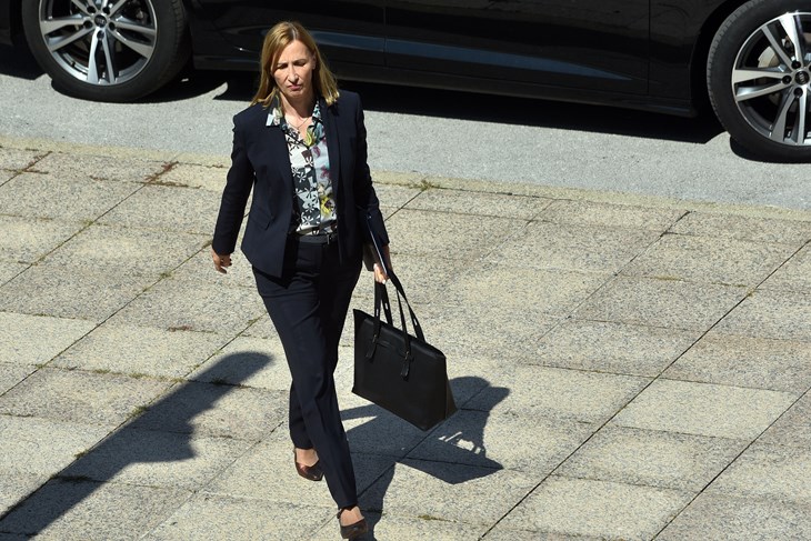 (Snimio Davor Kovačević)