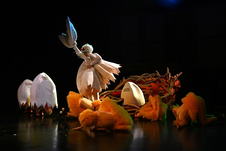 (Snimio Saša Miljević)