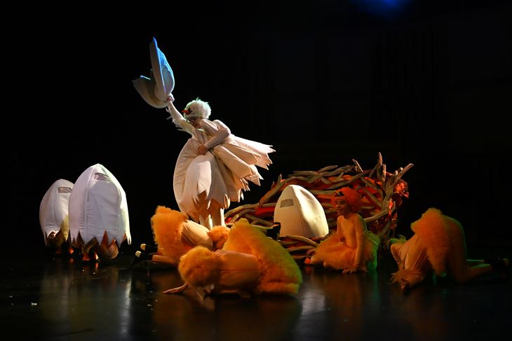 (Snimio Saša Miljević)