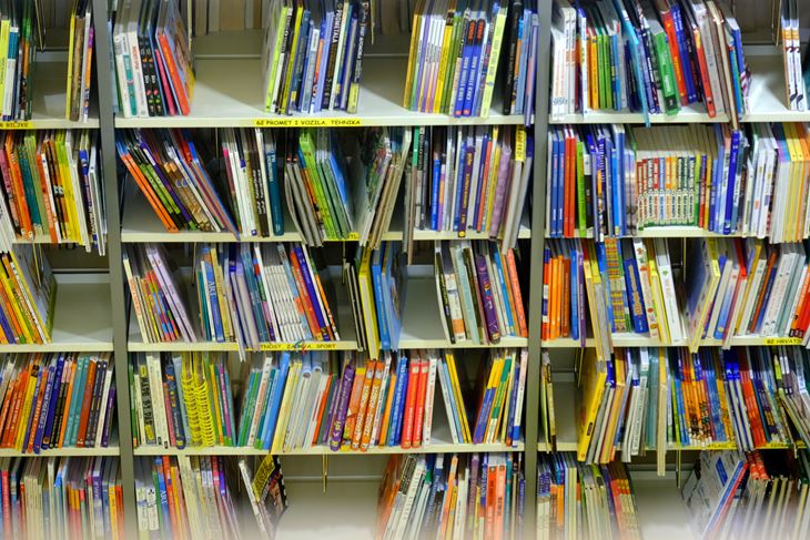 Ilustracija (Snimio MIlivoj Mijošek)