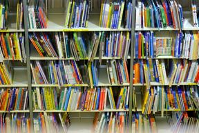 Ilustracija (Snimio MIlivoj Mijošek)