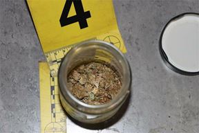 Ilustracija (PU istarska)