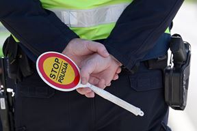 Ilustracija (Arhiva Novog lista)