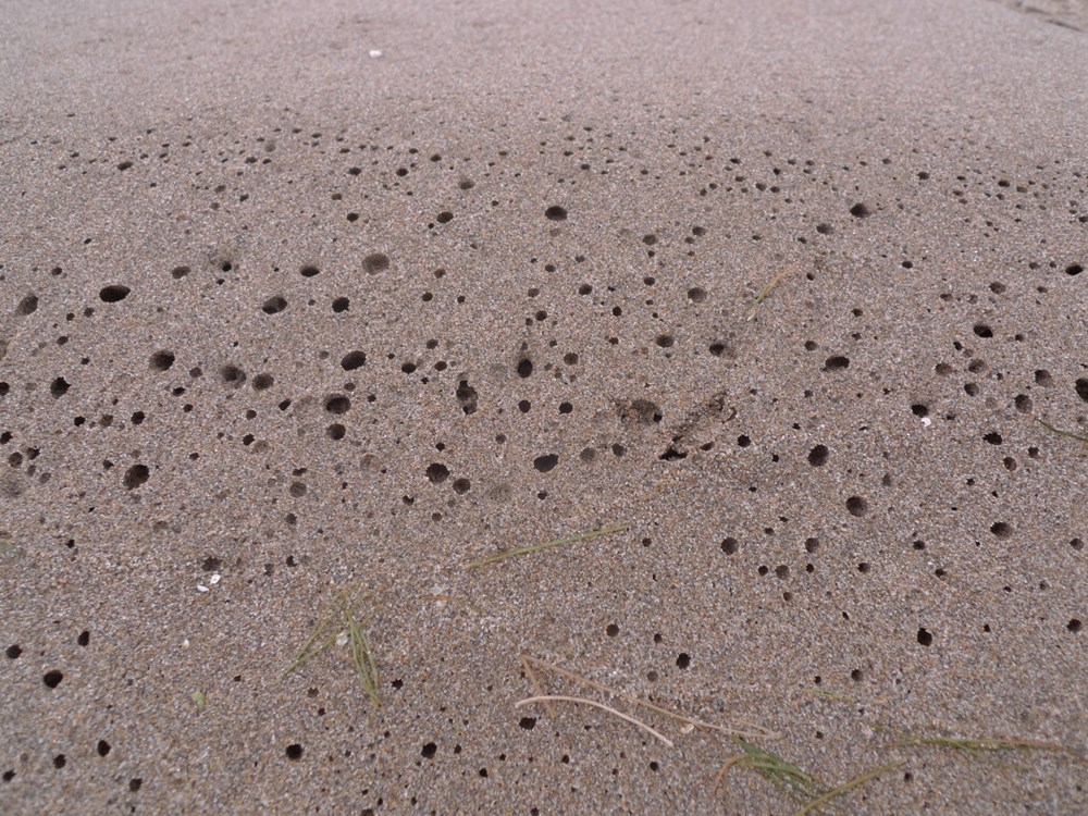 (Snimio Boris Bulić)