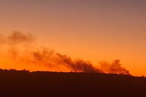 (Snimila Nina Vigan)