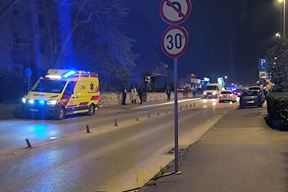 (Snimio Zvonimir Guzić)