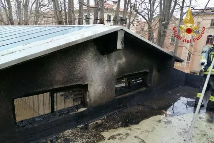 (Vigili del fuoco)