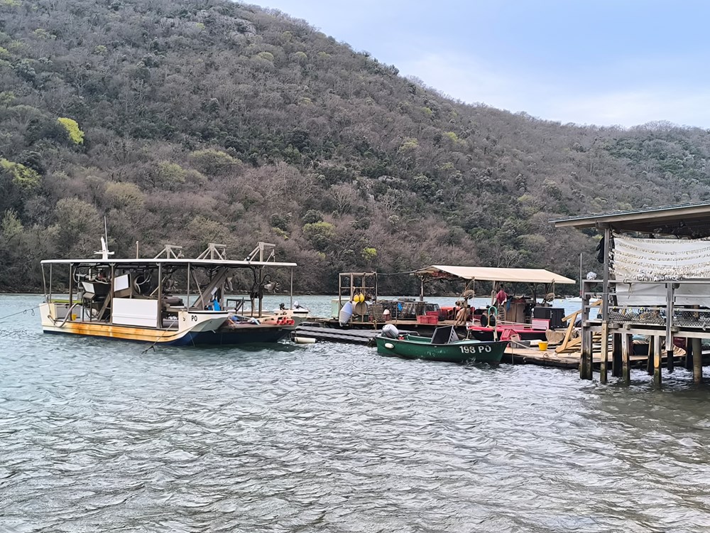 (Snimio Zvonimir Guzić)