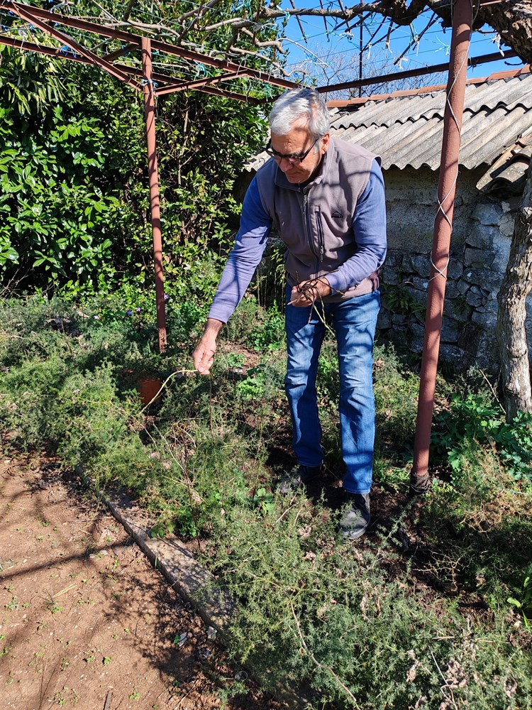 (Snimio Branko Biočić)