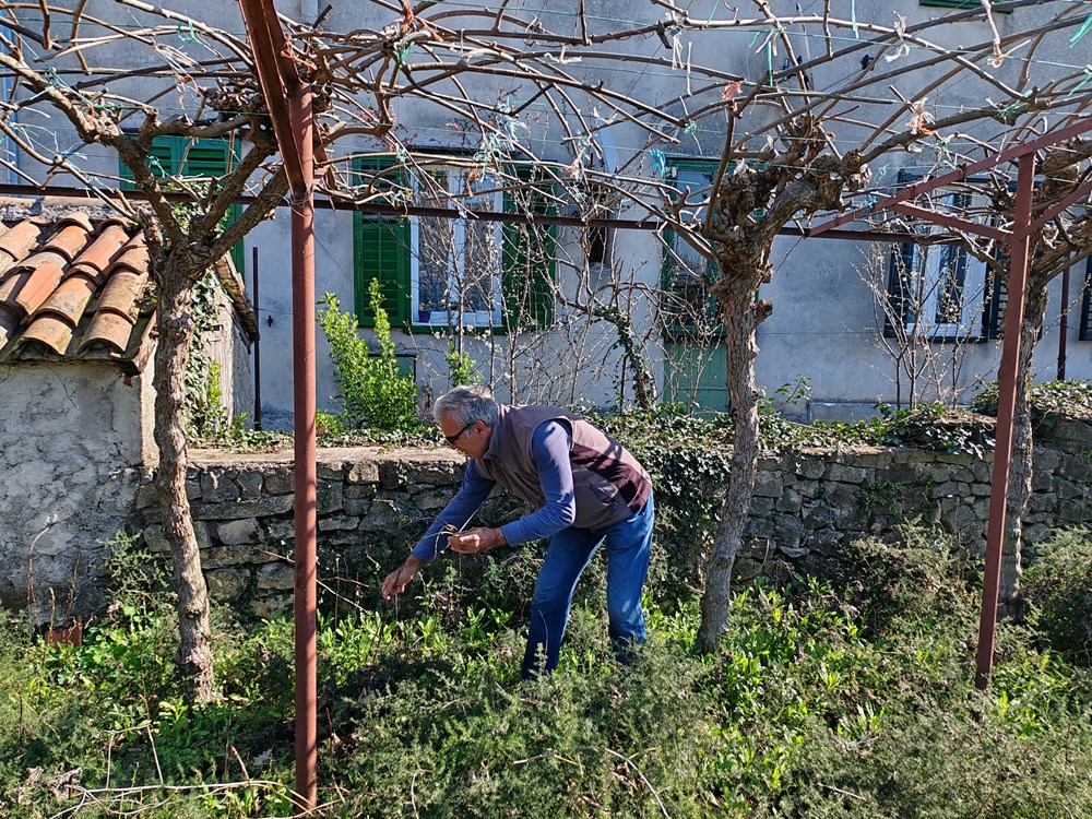(Snimio Branko Biočić)