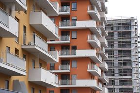 Ilustracija (Arhiva Glasa Istre)