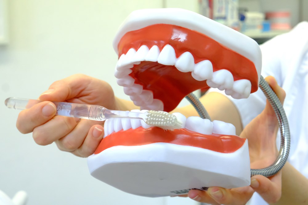 (Snimio Milivoj Mijo&scaron;ek)